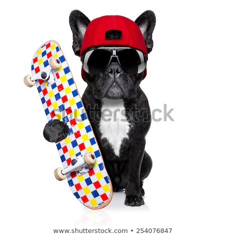 Stock photo: Skater Boy Dog