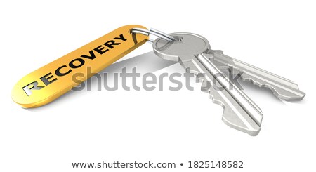 Foto stock: Keys With Word Recovery On Golden Label