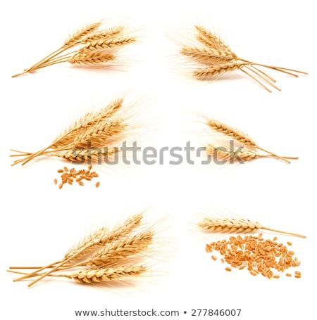 Foto stock: Wheat Farming In Agriculture Photo Collage