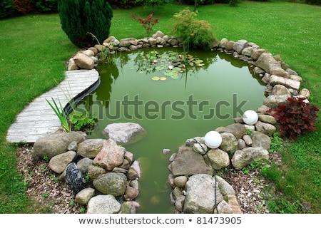 Foto stock: Waterfall And Pond In Backyard Garden