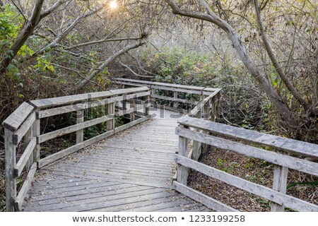 Foto stock: Sunset Over Neary Lagoons Boardwalk