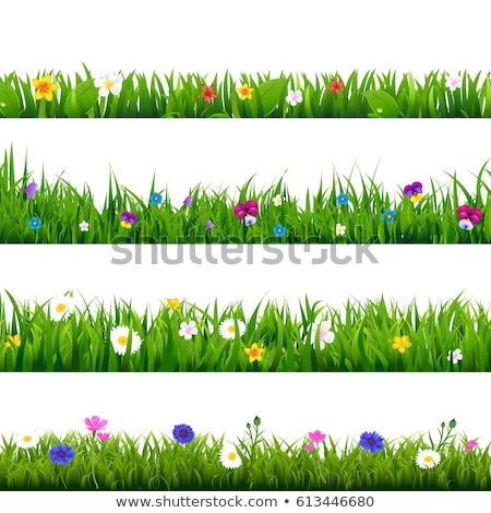 Big Grass And Flower Set ストックフォト © barbaliss