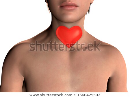 Stock foto: Romantic Kiss On Throat