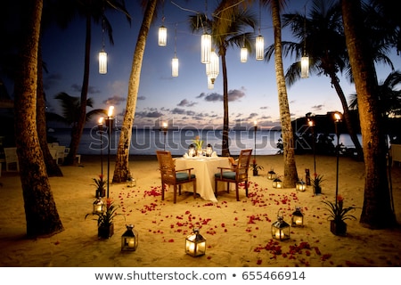 Stockfoto: Set Up Dinner Table