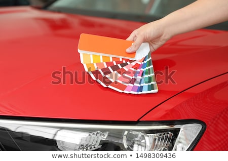 Stok fotoğraf: Female Decorator With Red Paint