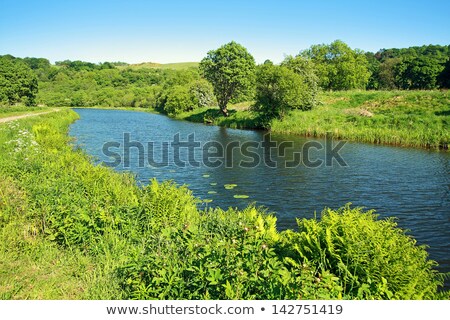 Forth And Clyde Canal In Springtime Scotland ストックフォト © Julietphotography