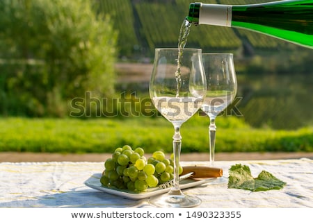 Stock foto: Riesling Vineyard On Mosel