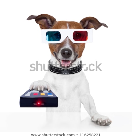 [[stock_photo]]: Remote Control 3d Glasses Tv Movie Dog