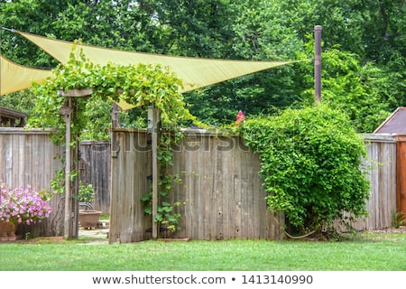 Foto stock: Shade Sails