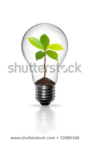 ストックフォト: Eco Concept Light Bulb With Plant Inside