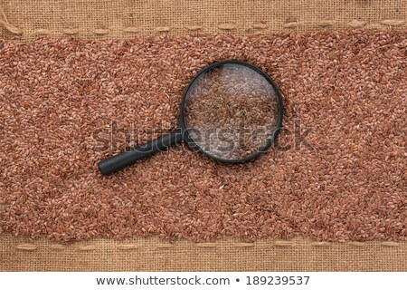 Stok fotoğraf: Magnifying Glass Lies On Flax Seeds And Sacking