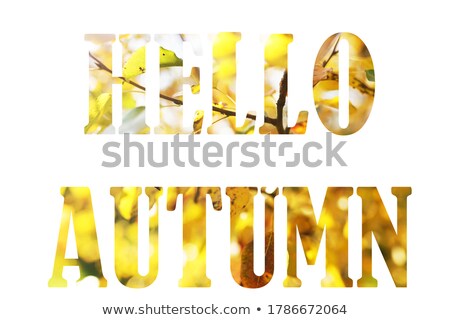 Stok fotoğraf: Autumnal Letters Concept Isolated On White