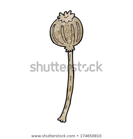 Cartoon Dried Poppy Zdjęcia stock © lineartestpilot