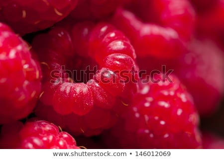 Raspberry Up Close Imagine de stoc © lidante