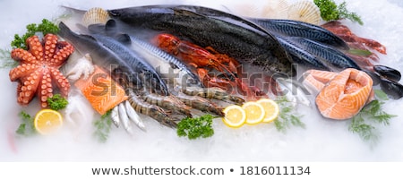 Bob de mare cu pătrunjel și creveți Imagine de stoc © vichie81