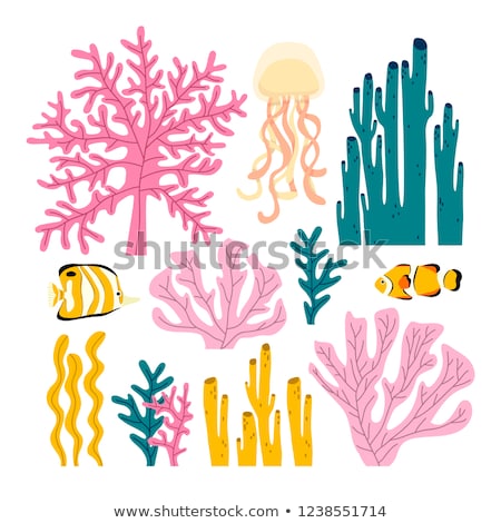 Сток-фото: Underwater Banners With Tropical Fish Vector Illustration