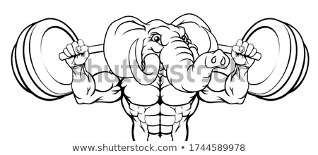 Stock fotó: Elephant Mascot Weight Lifting Body Builder