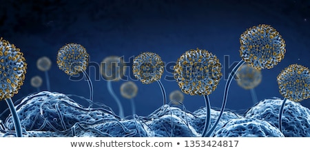 Foto stock: Molded Plants