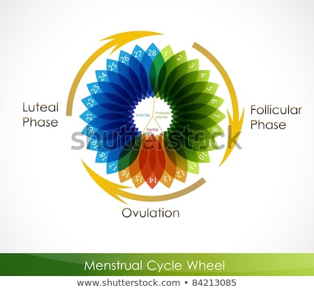 Stock fotó: Round Blue Vector Icon For Menstrual Calendar