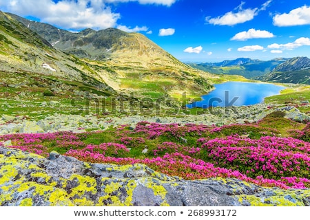 [[stock_photo]]: Landscape From Romania