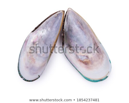 ストックフォト: Closeup Of Big Opened Oyster Shell