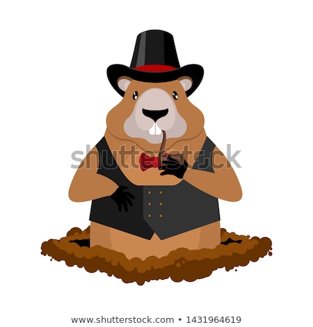 Marmot In Hat And With Pipe Rodent Aristocrat Illustration For Сток-фото © MaryValery