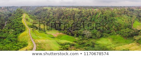 Stockfoto: Aerial Picture Of Campuhan Ridge Walk Scenic Green Valley In Ubud Bali Photo From The Drone