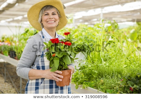 Stock photo: Business Woman Holding A Vase With A Plant