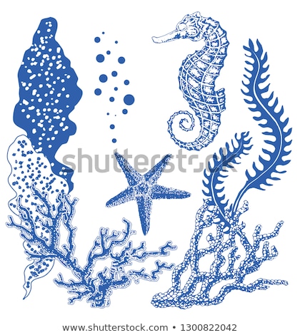 Foto stock: Tropical Sea Symbols Set On The White