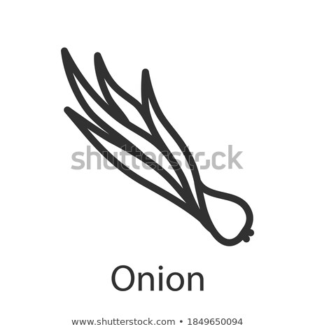 Stock photo: Young Onion