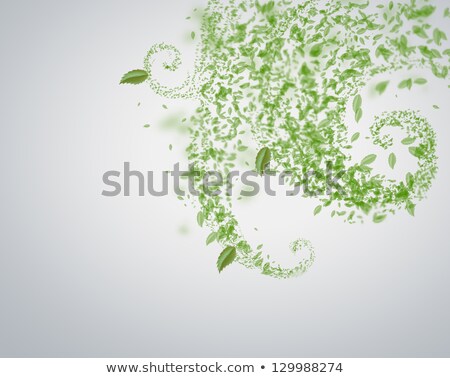 [[stock_photo]]: Spring And Summer Background Leaf Tornado