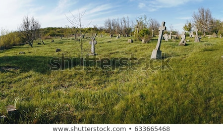 Zdjęcia stock: Abandoned Grave At Old Cemetery Death Concept