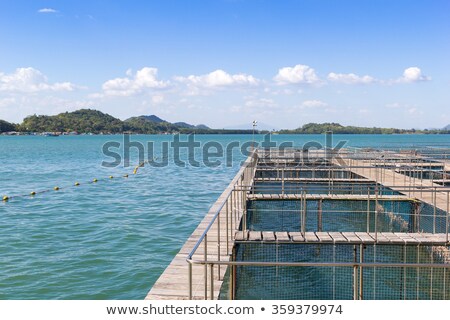 Foto d'archivio: The Coop For Feeding Fish In East Of Thailand Sea