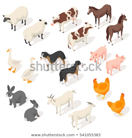 Foto stock: Isometric 3d Vector Illustration Of Cow