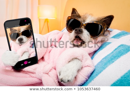 [[stock_photo]]: Dog Spa Wellness Salon Selfie