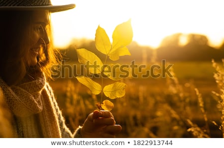 Stock photo: Autumn Mountain View