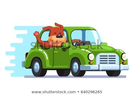 [[stock_photo]]: Cartoon Dog Driving A Car