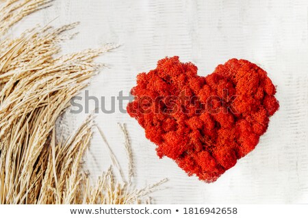 Zdjęcia stock: Heart With Moss And Flowers