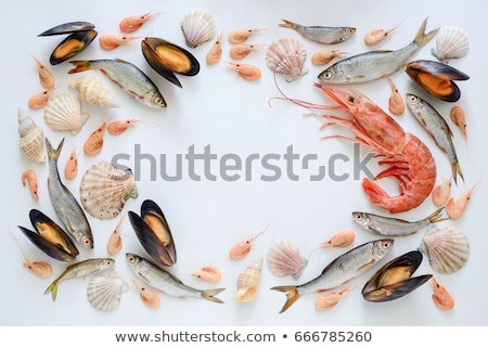 Zdjęcia stock: Set Of Fresh Seafood