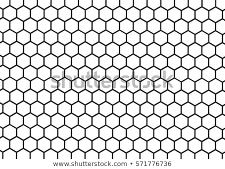 Stok fotoğraf: Honeycomb