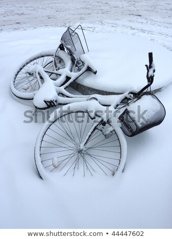 Fallen Bicycle By Winter Geneva Switzerland Stock foto © Elenarts