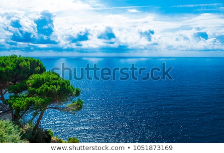 Blue Adriatic Sea Stock foto © mcherevan