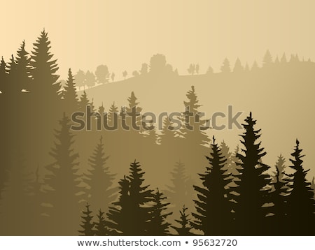 日没時の木のシルエット ストックフォト © Vertyr