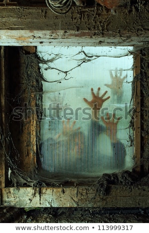 Imagine de stoc: Zombies Outside A Window