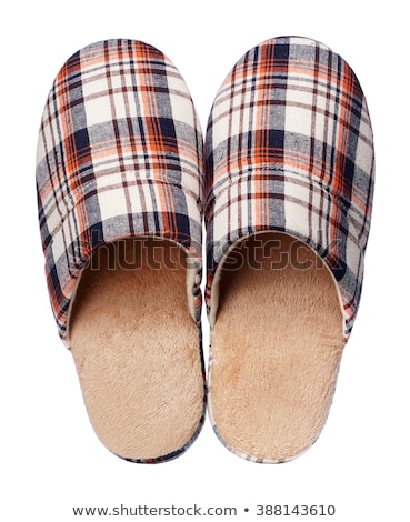 Foto d'archivio: Two Slippers