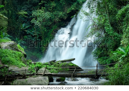 Stock fotó: Tropical Rain Forest Landscape With Pha Dok Xu Waterfall Thailand