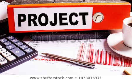 Stock photo: Red Office Folder With Inscription Projects