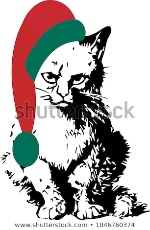 Stock fotó: Hater Grumpy Cat Angry Pet Vector Illustration