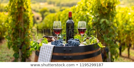 Stock fotó: Pouring Red Wine Into The Glass Barrel Outdoor In Bordeaux Vineyard