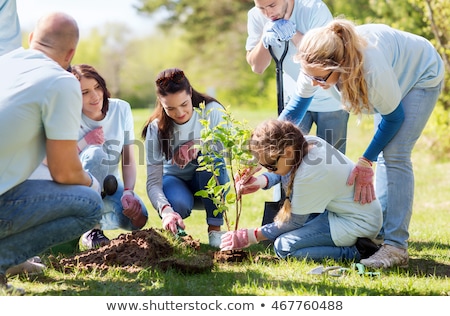 Foto stock: Group Of Volunteers Planting Tree In Park